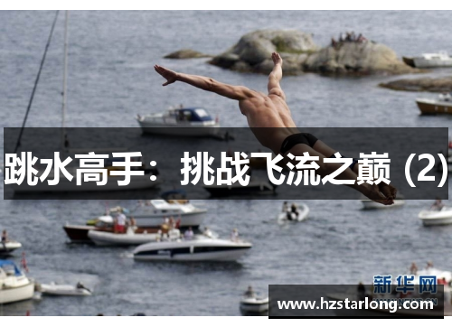 跳水高手：挑战飞流之巅 (2)